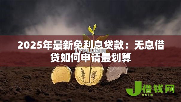 2025年最新免利息贷款：无息借贷如何申请最划算