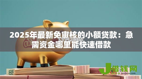 2025年最新免审核的小额贷款：急需资金哪里能快速借款