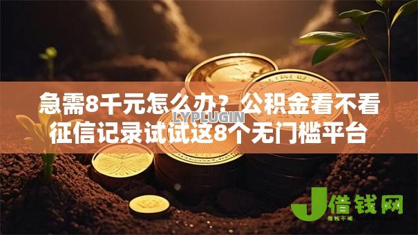 急需8千元怎么办？公积金看不看征信记录试试这8个无门槛平台
