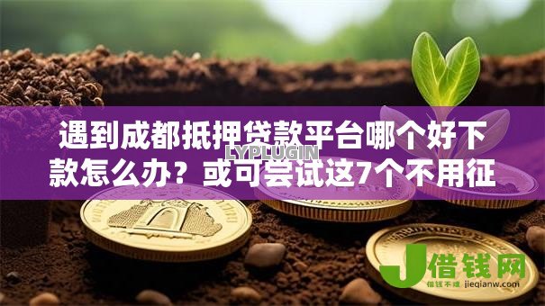 遇到成都抵押贷款平台哪个好下款怎么办？或可尝试这7个不用征信就能借钱的平台