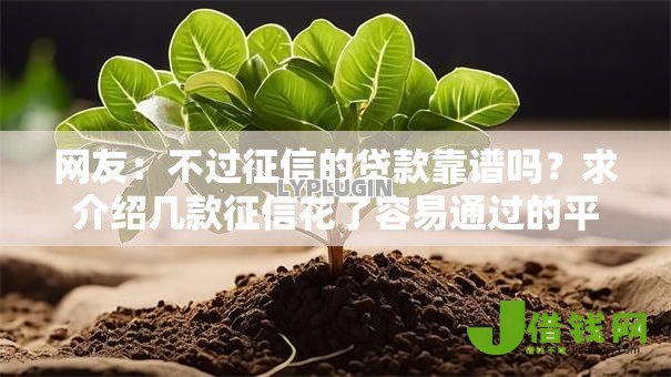网友：不过征信的贷款靠谱吗？求介绍几款征信花了容易通过的平台借款