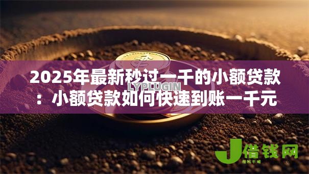 2025年最新秒过一千的小额贷款：小额贷款如何快速到账一千元