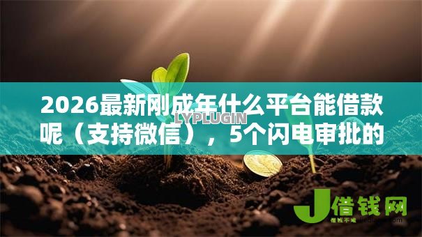 2026最新刚成年什么平台能借款呢（支持微信），5个闪电审批的软件无私分享