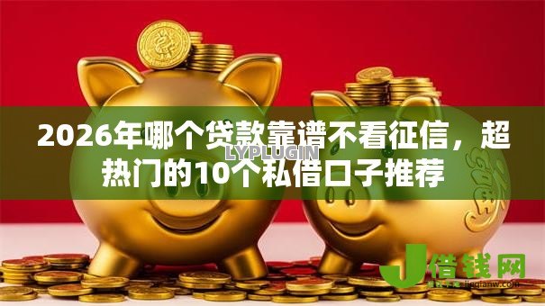 2026年哪个贷款靠谱不看征信，超热门的10个私借口子推荐