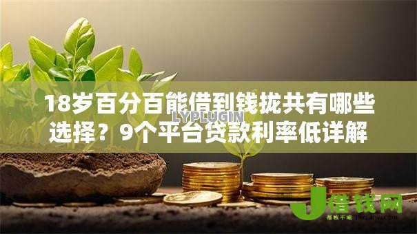 18岁百分百能借到钱拢共有哪些选择？9个平台贷款利率低详解