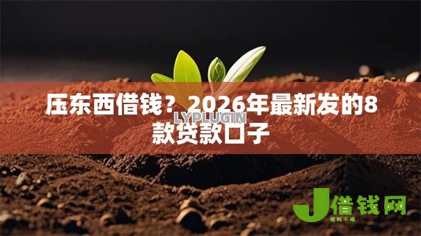 压东西借钱？2026年最新发的8款贷款口子