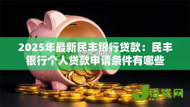 2025年最新民丰银行贷款:民丰银行个人贷款申请条件有哪些 2025年最新民丰银行贷款:民丰银行个人贷款申请条件有哪些