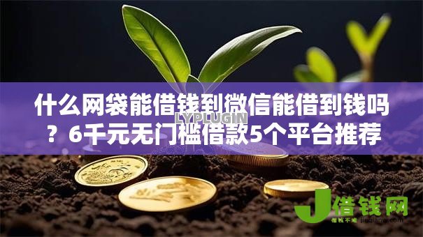 什么网袋能借钱到微信能借到钱吗？6千元无门槛借款5个平台推荐
