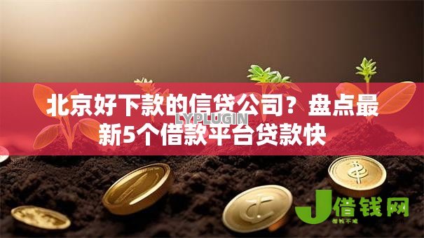 北京好下款的信贷公司?盘点最新5个借款平台贷款快 北京好下款的信贷公司?盘点最新5个借款平台贷款快