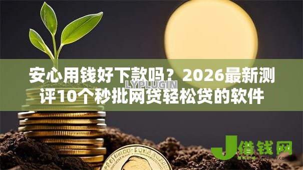 安心用钱好下款吗？2026最新测评10个秒批网贷轻松贷的软件