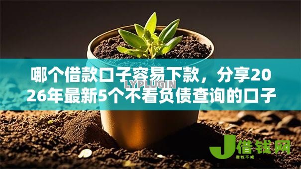 哪个借款口子容易下款，分享2026年最新5个不看负债查询的口子