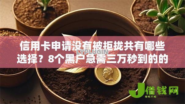 信用卡申请没有被拒拢共有哪些选择?8个黑户急需三万秒到的的软件详解 信用卡申请没有被拒拢共有哪些选择?8个黑户急需三万秒到的的软件详解