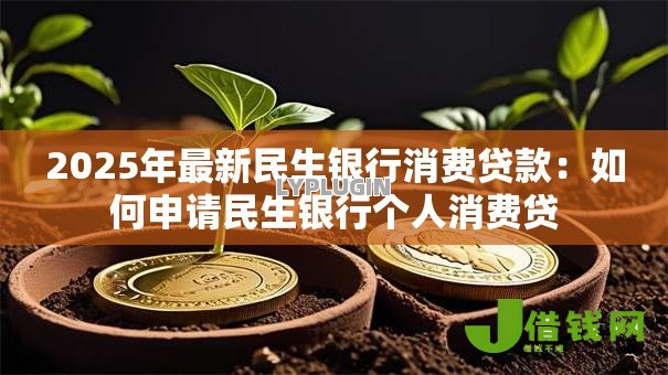 2025年最新民生银行消费贷款：如何申请民生银行个人消费贷