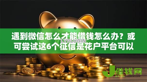 遇到微信怎么才能借钱怎么办？或可尝试这6个征信是花户平台可以借钱不