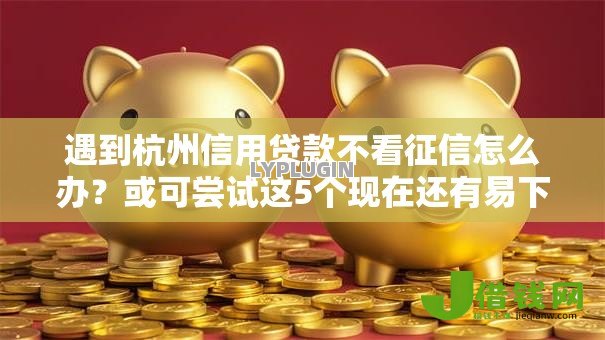 遇到杭州信用贷款不看征信怎么办？或可尝试这5个现在还有易下款的平台