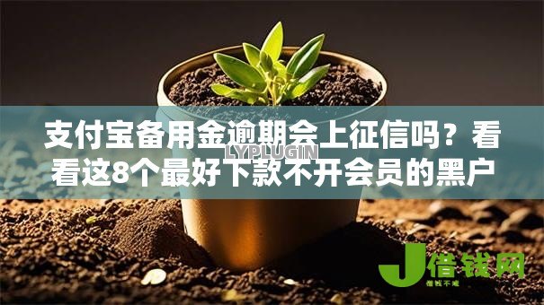 支付宝备用金逾期会上征信吗?看看这8个最好下款不开会员的黑户借钱平台怎么样 支付宝备用金逾期会上征信吗?看看这8个最好下款不开会员的黑户借钱平台怎么样