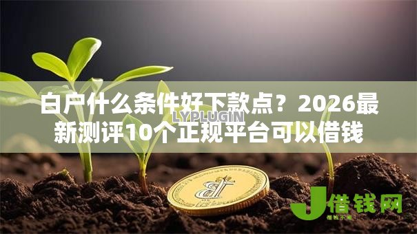 白户什么条件好下款点？2026最新测评10个正规平台可以借钱