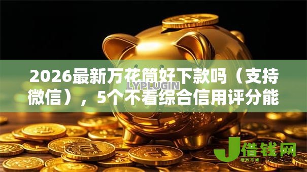 2026最新万花筒好下款吗（支持微信），5个不看综合信用评分能下款的软件无私分享