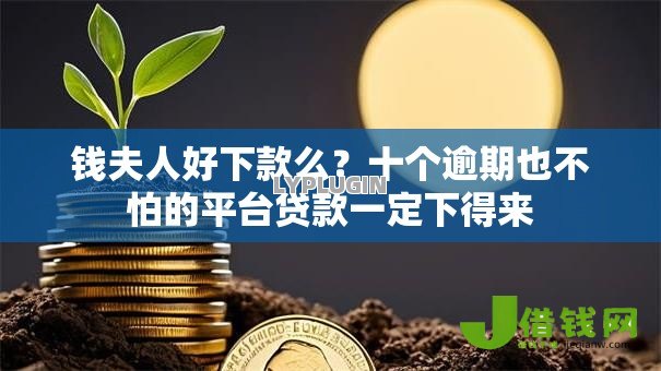 钱夫人好下款么？十个逾期也不怕的平台贷款一定下得来