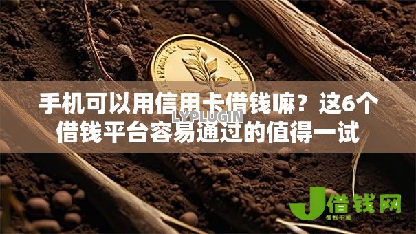 手机可以用信用卡借钱嘛？这6个借钱平台容易通过的值得一试