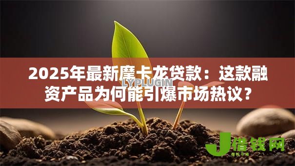 2025年最新摩卡龙贷款：这款融资产品为何能引爆市场热议？