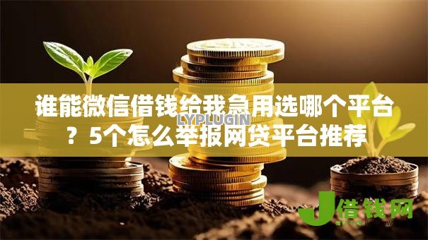 谁能微信借钱给我急用选哪个平台？5个怎么举报网贷平台推荐
