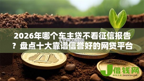 2026年哪个车主贷不看征信报告?盘点十大靠谱信誉好的网贷平台 2026年哪个车主贷不看征信报告?盘点十大靠谱信誉好的网贷平台