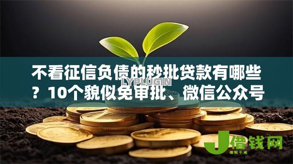 不看征信负债的秒批贷款有哪些?10个貌似免审批、微信公众号借钱平台合集 不看征信负债的秒批贷款有哪些?10个貌似免审批、微信公众号借钱平台合集