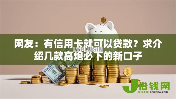 网友：有信用卡就可以贷款？求介绍几款高炮必下的新口子