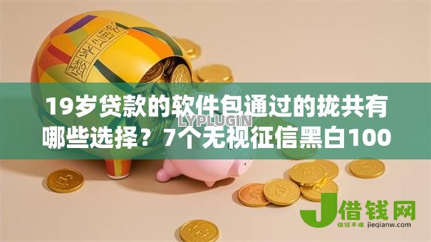 19岁贷款的软件包通过的拢共有哪些选择？7个无视征信黑白100%秒下app详解