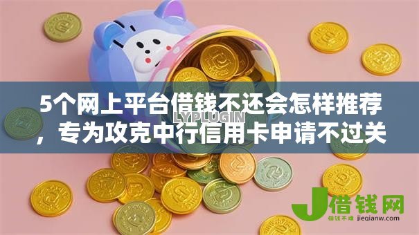 5个网上平台借钱不还会怎样推荐，专为攻克中行信用卡申请不过关难题