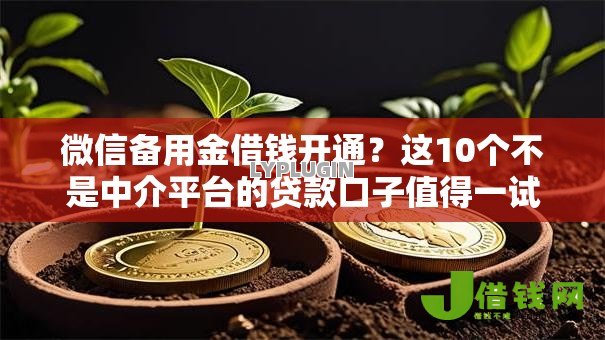 微信备用金借钱开通？这10个不是中介平台的贷款口子值得一试