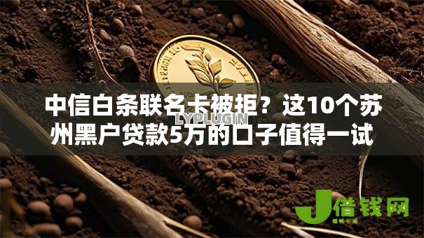 中信白条联名卡被拒?这10个苏州黑户贷款5万的口子值得一试 中信白条联名卡被拒?这10个苏州黑户贷款5万的口子值得一试