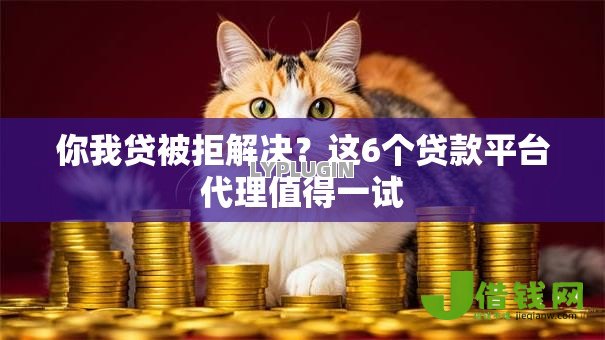 你我贷被拒解决?这6个贷款平台代理值得一试 你我贷被拒解决?这6个贷款平台代理值得一试
