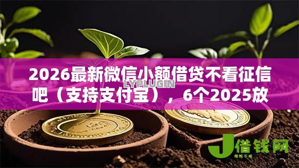 2026最新微信小额借贷不看征信吧（支持支付宝），6个2025放款口子论坛无私分享