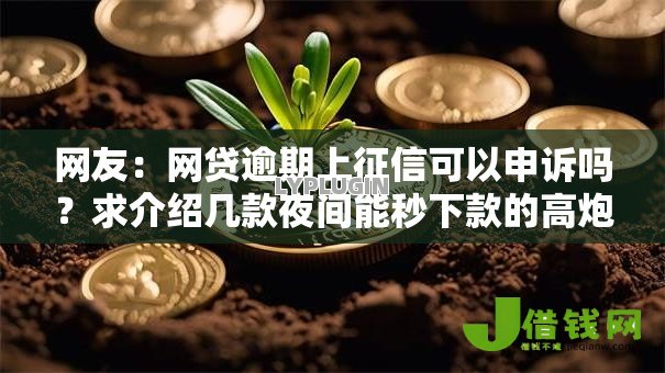 网友：网贷逾期上征信可以申诉吗？求介绍几款夜间能秒下款的高炮口子