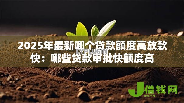 2025年最新哪个贷款额度高放款快：哪些贷款审批快额度高