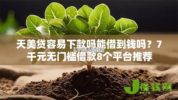 天美贷容易下款吗能借到钱吗?7千元无门槛借款8个平台推荐 天美贷容易下款吗能借到钱吗?7千元无门槛借款8个平台推荐