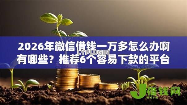 2026年微信借钱一万多怎么办啊有哪些？推荐6个容易下款的平台