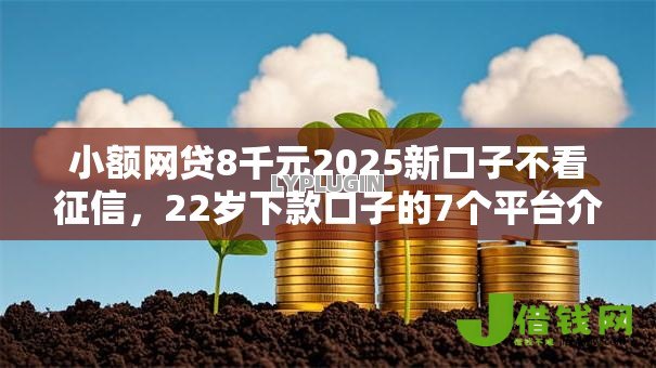 小额网贷8千元2025新口子不看征信，22岁下款口子的7个平台介绍