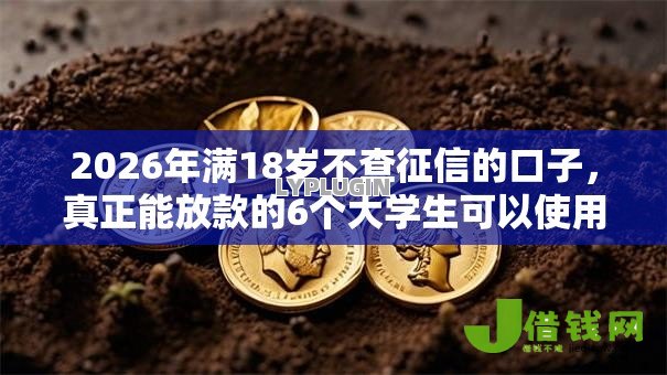 2026年满18岁不查征信的口子，真正能放款的6个大学生可以使用的软件推荐