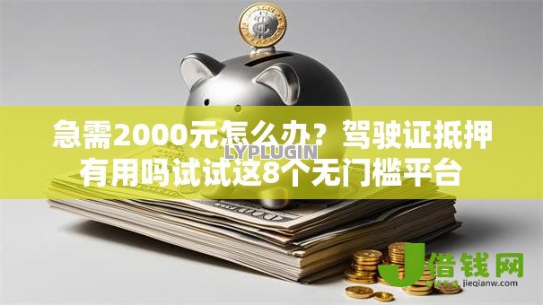 急需2000元怎么办?驾驶证抵押有用吗试试这8个无门槛平台 急需2000元怎么办?驾驶证抵押有用吗试试这8个无门槛平台