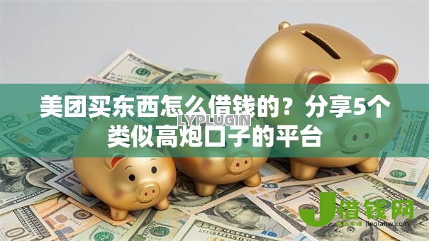 美团买东西怎么借钱的？分享5个类似高炮口子的平台