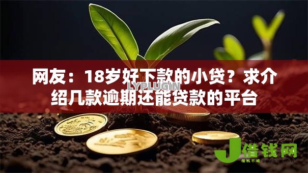 网友：18岁好下款的小贷？求介绍几款逾期还能贷款的平台