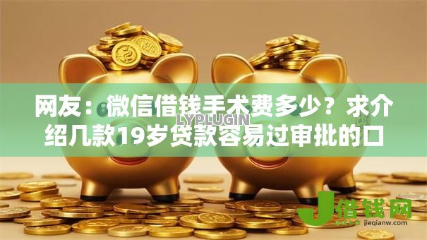 网友:微信借钱手术费多少?求介绍几款19岁贷款容易过审批的口子 网友:微信借钱手术费多少?求介绍几款19岁贷款容易过审批的口子