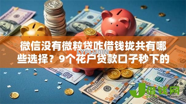 微信没有微粒贷咋借钱拢共有哪些选择?9个花户贷款口子秒下的详解 微信没有微粒贷咋借钱拢共有哪些选择?9个花户贷款口子秒下的详解