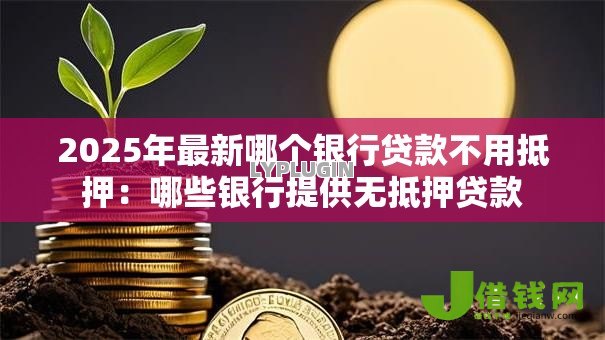 2025年最新哪个银行贷款不用抵押：哪些银行提供无抵押贷款
