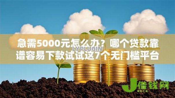 急需5000元怎么办？哪个贷款靠谱容易下款试试这7个无门槛平台