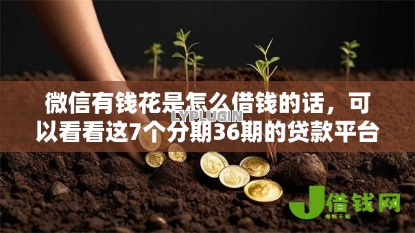 微信有钱花是怎么借钱的话，可以看看这7个分期36期的贷款平台