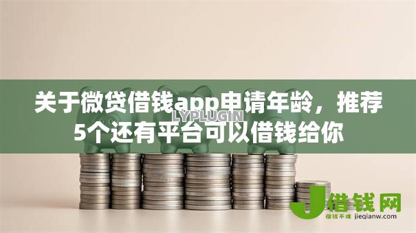 关于微贷借钱app申请年龄，推荐5个还有平台可以借钱给你